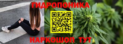 бошки Можга