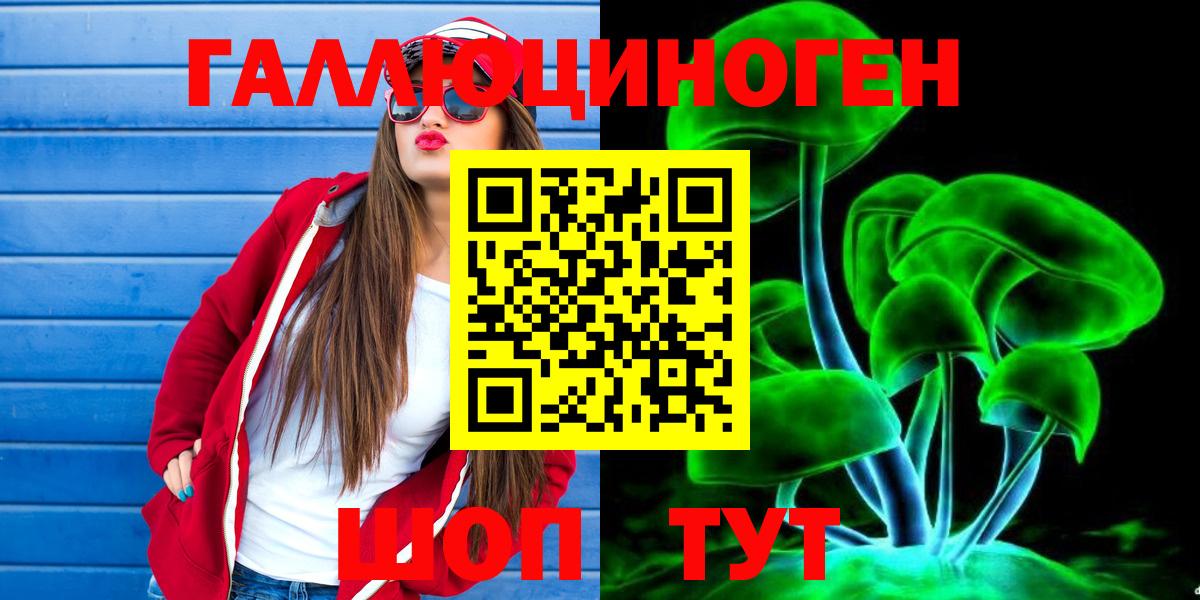 Горно-Алтайск  Галлюциногенные грибы Psilocybe  Вход с VPN 