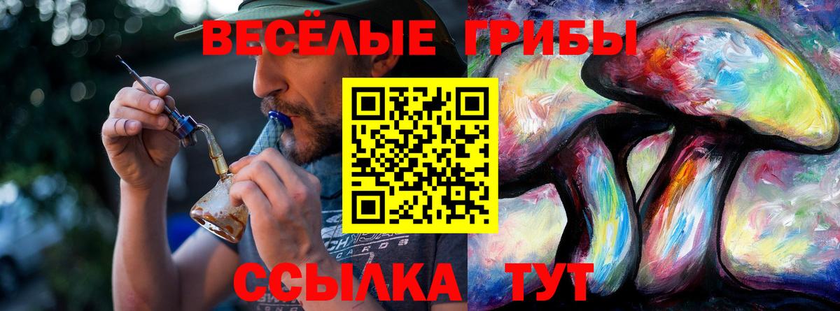 Галлюциногенные грибы мухоморы Горно-Алтайск
